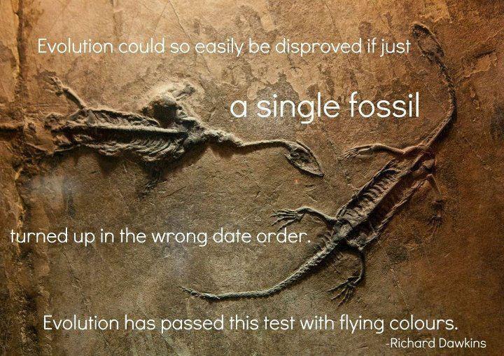 Disproving Evolution